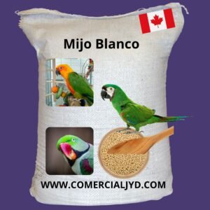 mijo blanco para aves