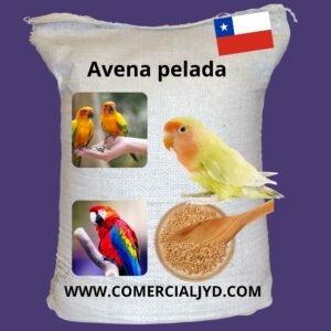 avena pelada para paajros
